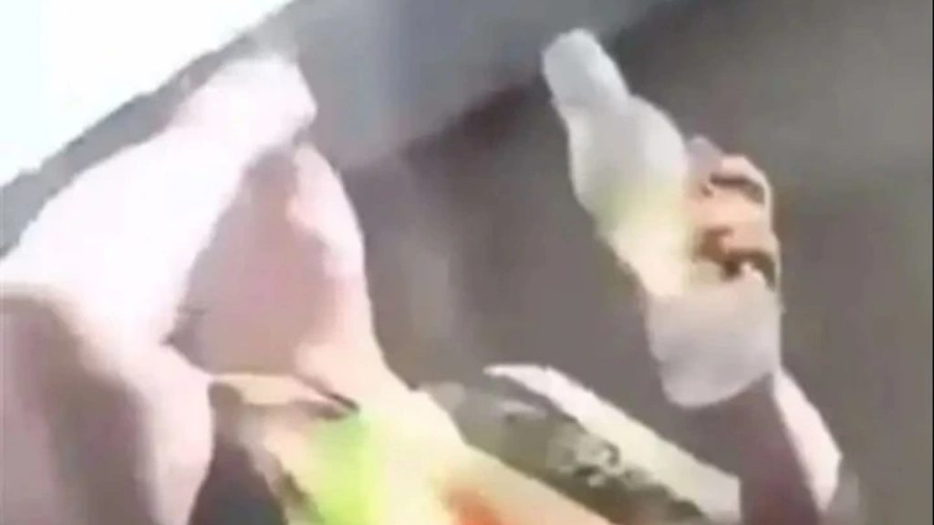 donna inglese mangia criceto