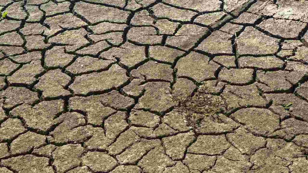 siccità