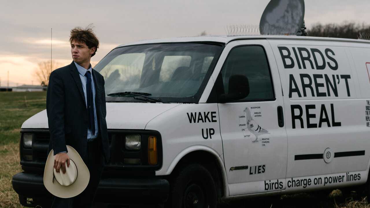 Cos'è il movimento Birds Aren't Real? | La teoria complottista protesta ...