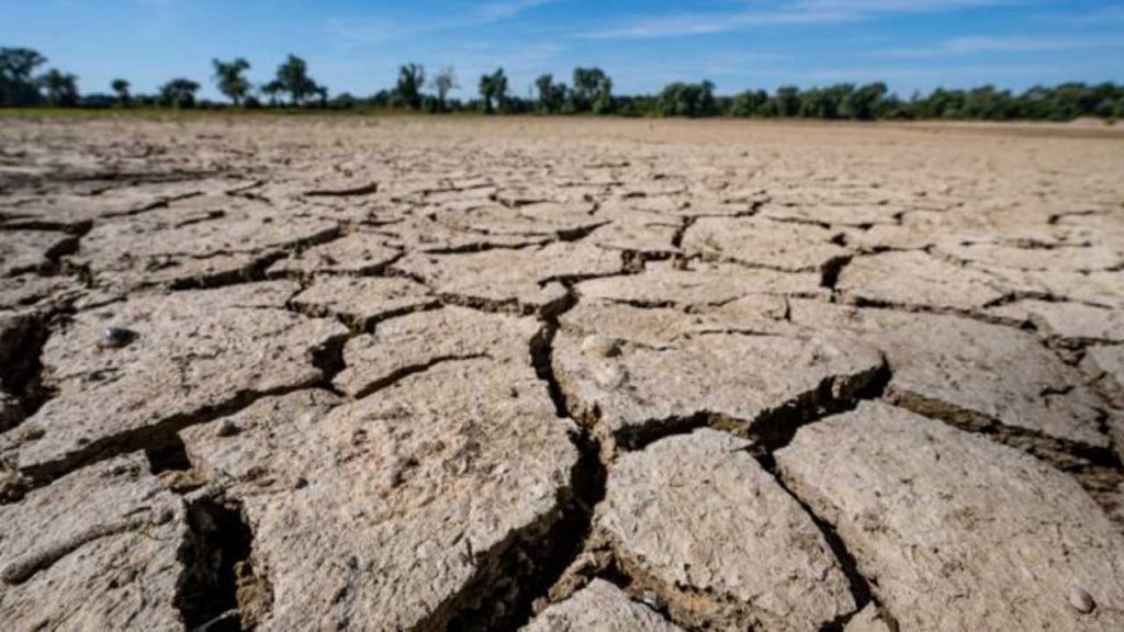 siccità