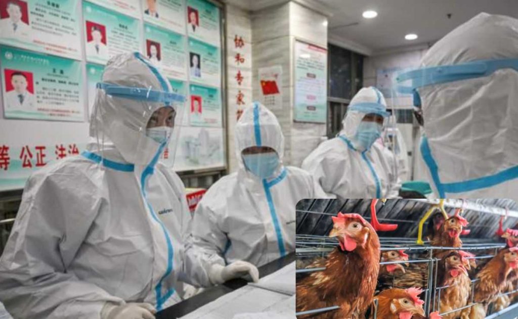 Influenza aviaria