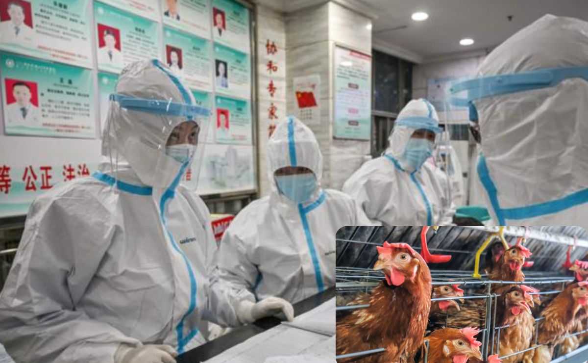 Influenza aviaria