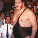 Andre the Giant