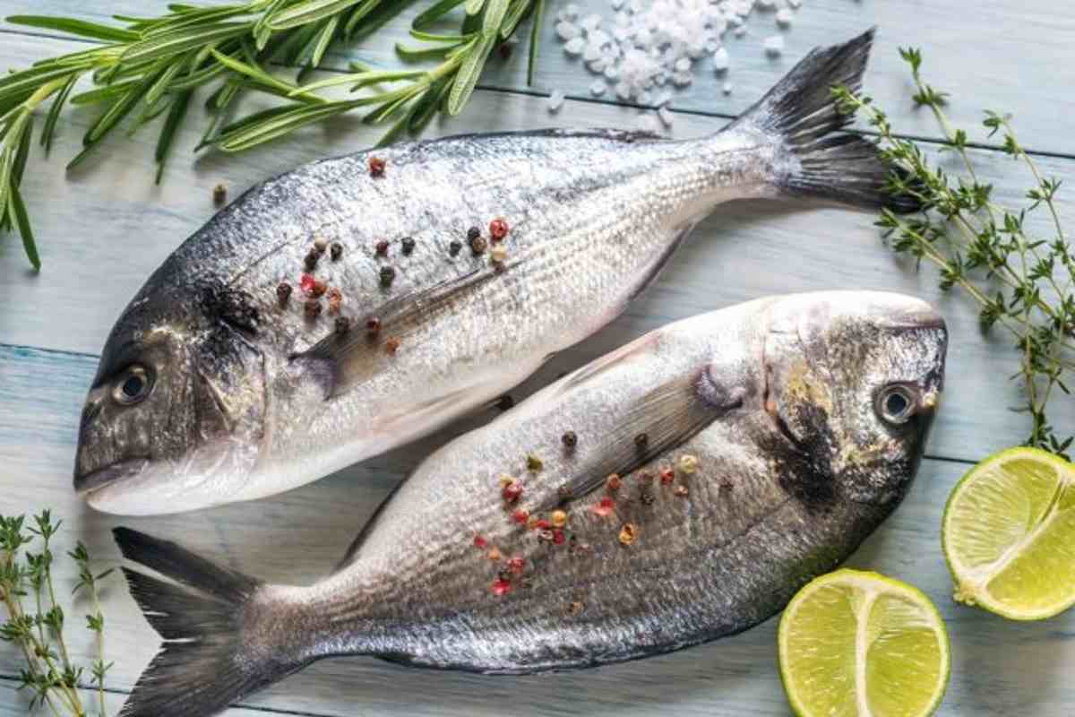 Cos’è successo a Viareggio, con 20 persone intossicate in un ristorante di pesce? | Siamo davanti ad una Gubbio bis?