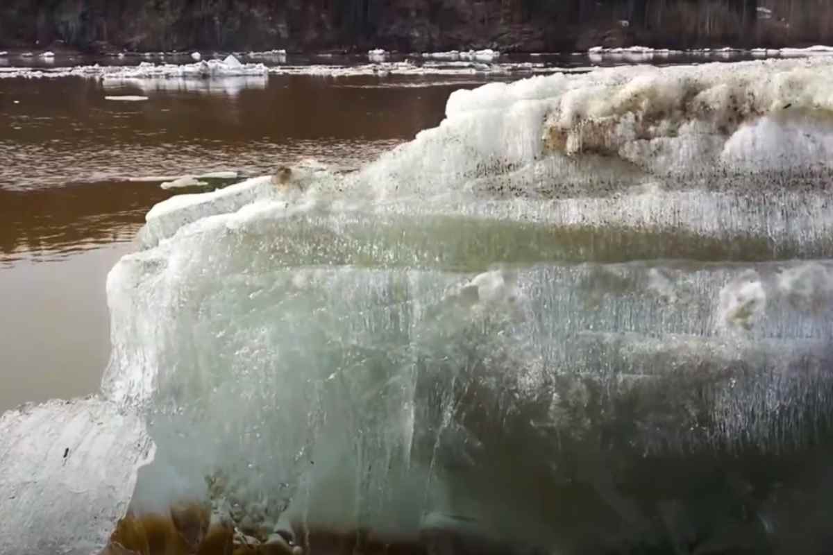 Gli studiosi sono allarmati dalla tragica scoperta legata ai fiumi dell'Alaska