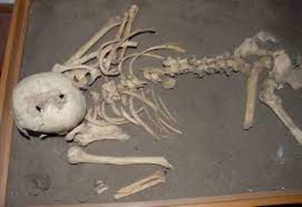 Scoperti scheletri e manufatti in un sito archeologico brasiliano.