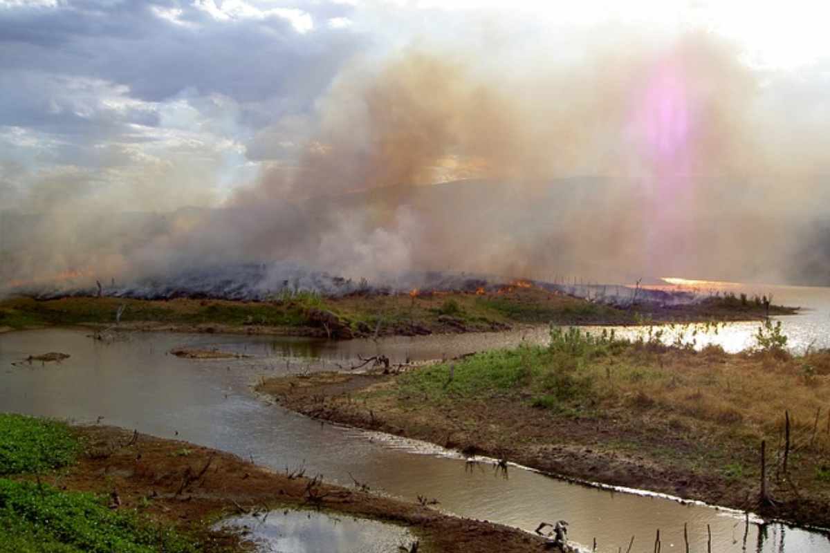 L'ecocidio diventa un crimine perseguibile fino a 10 anni di reclusione.
